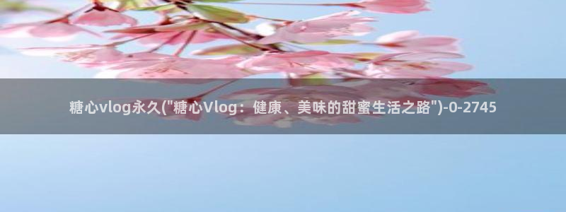 糖心Vlog优质up主