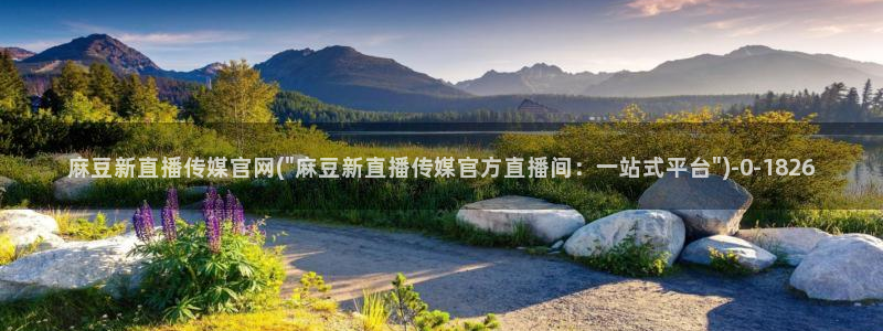 麻豆资讯标题