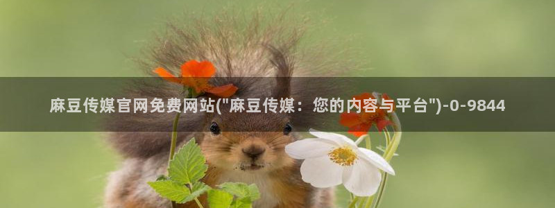 麻豆观看描述
