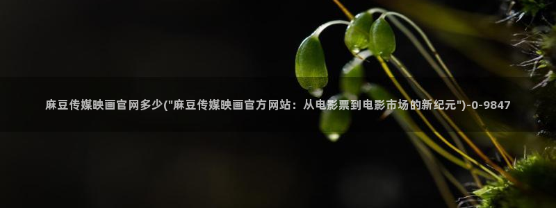 麻豆合集页