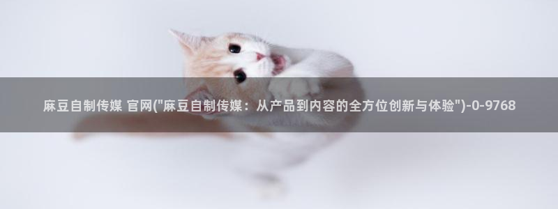 麻豆视频排行文案