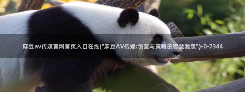麻豆视频专题规划