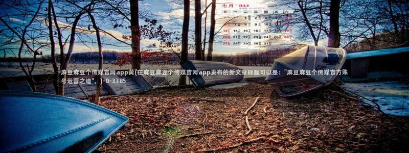 麻豆影视资讯