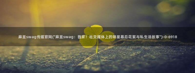 麻豆视频资料维护