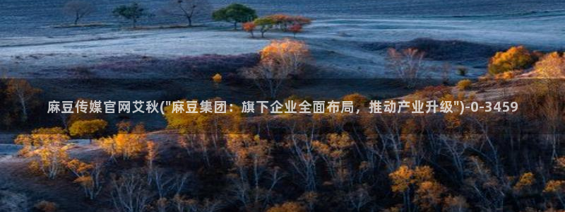 麻豆最新视频
