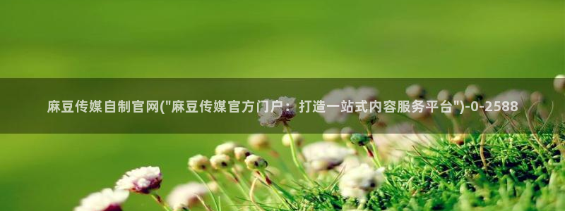 麻豆视频花絮