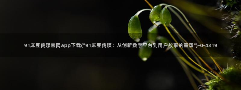 麻豆视频盘点文案