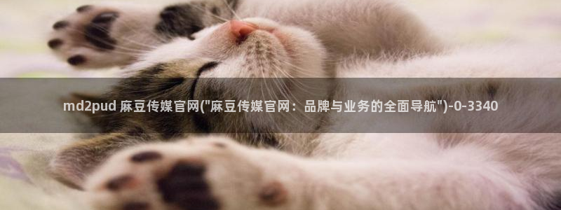麻豆演员图鉴