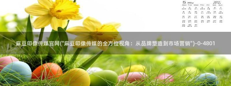 麻豆观看标题