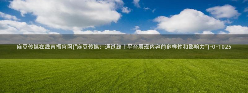 麻豆专题描述
