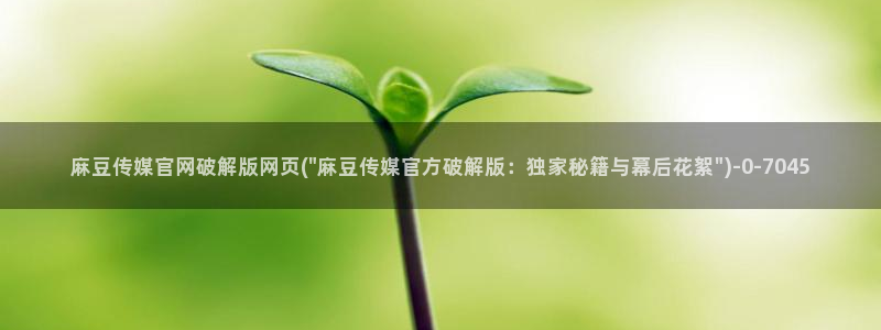 麻豆入门指南