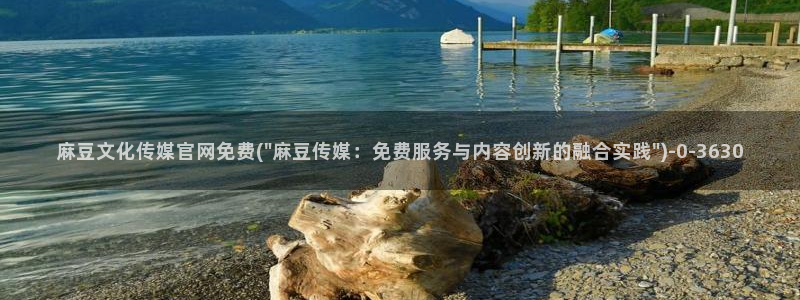 麻豆精选页