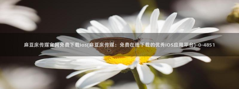 麻豆视频更新维护