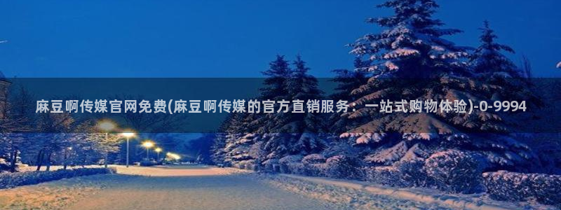 麻豆视频精准词