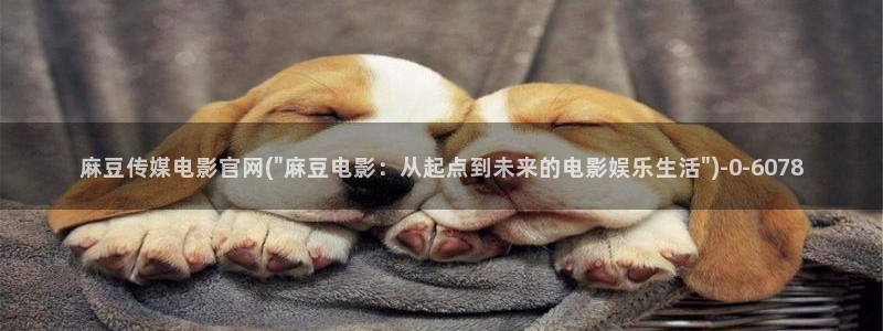 麻豆新片描述