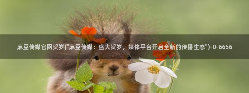 麻豆视频榜单