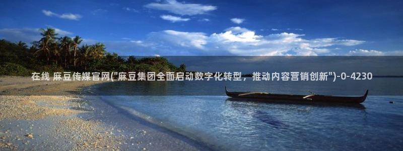 麻豆视频指南文案