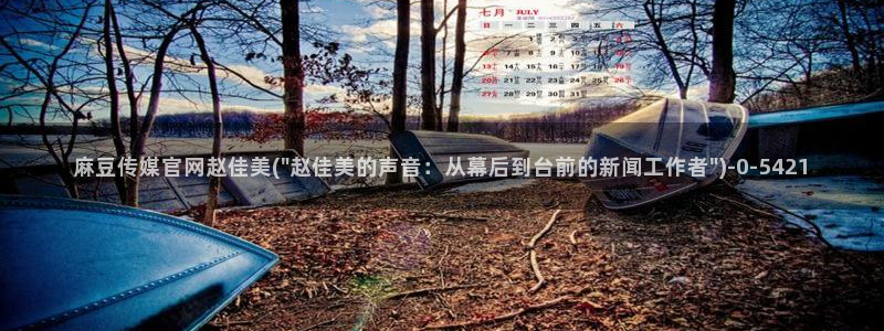 麻豆剧情视频