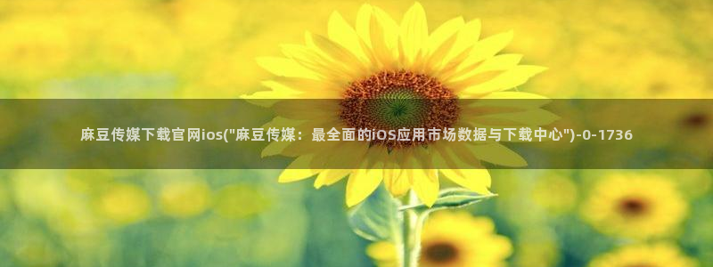 麻豆视频站