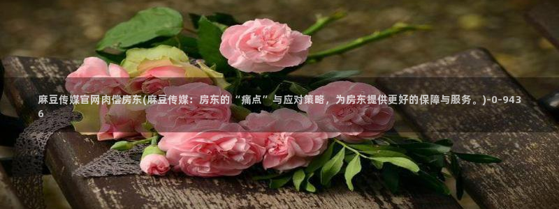 麻豆视频站关键词