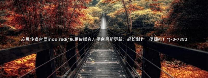 麻豆视频在线观看