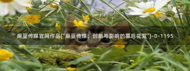 麻豆图片库：麻豆传媒官网作品(\