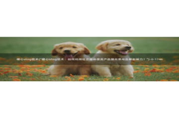 糖心vlog圣诞节：糖心vlog技术(\