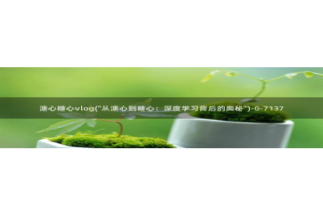 糖心vlog 包子：溏心糖心vlog(\