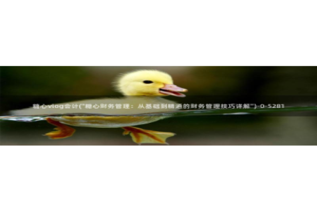 糖心直播vlog：糖心vlog会计(\