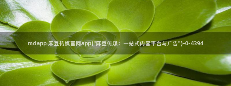 麻豆视频合集