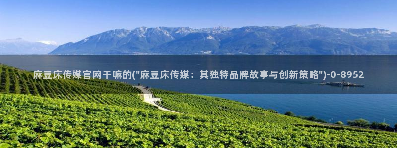 麻豆视频SEO词库