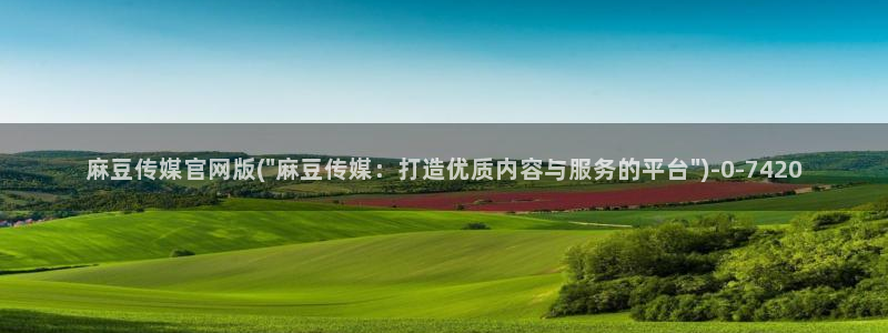 麻豆视频模板标签