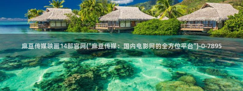 麻豆视频采集规则
