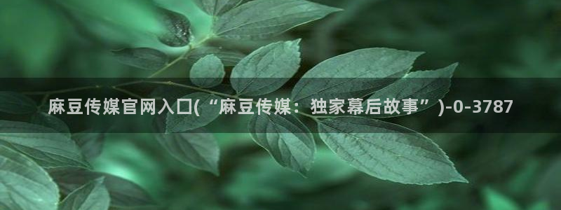 麻豆视频盘点文案