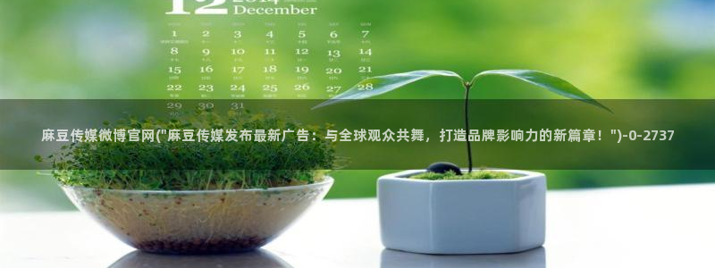 麻豆视频列表文案
